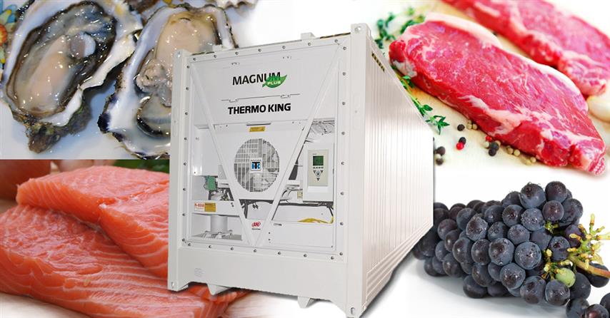 ThermoKing Magnum Plus